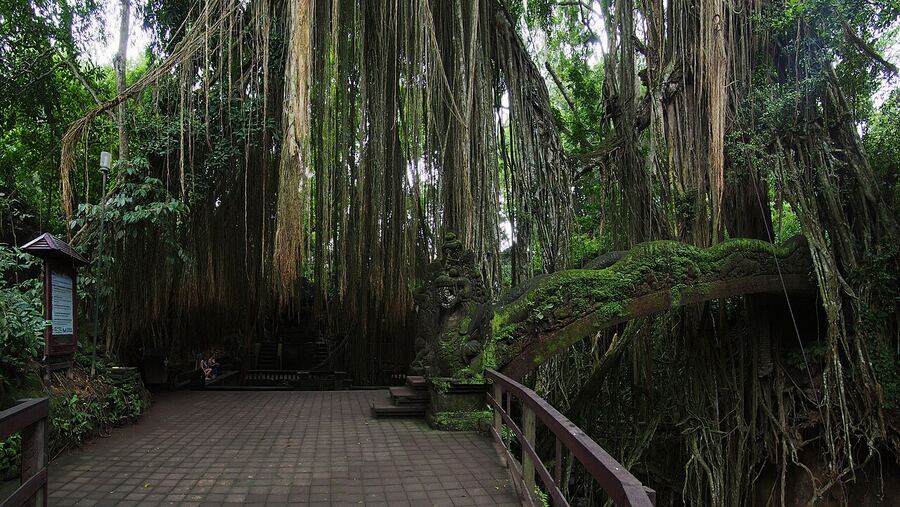 Sacred Monkey Forest, Ubud